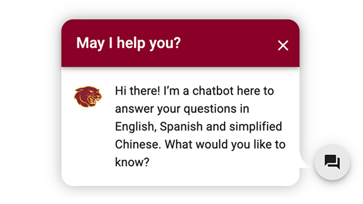 Website Chatbot