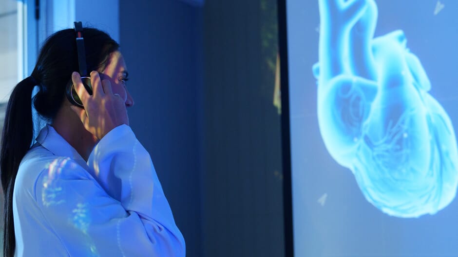 Medical doctor looking at a screen of a heart