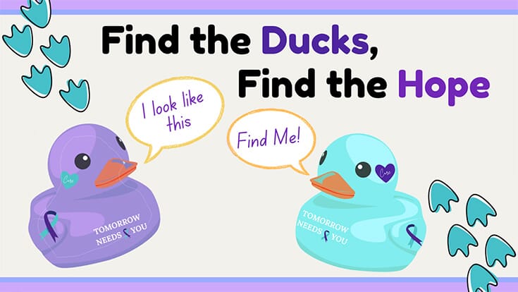 A blue and a purple rubber duck with speech bubbles that say I look like this and Find Me and the title Find the Ducks, Find the Hope
