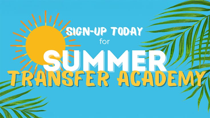 A sun and palm fronds with the words Sign up today for Summer Transfer Academy