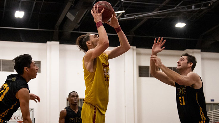 Panther Athletics - basketball players in action